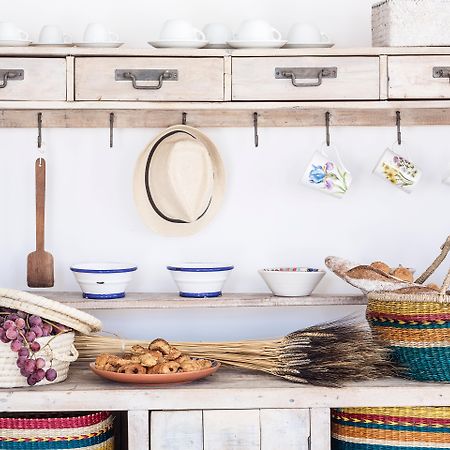 Anamar Mykonos Natural Retreat Ftelia  Extérieur photo