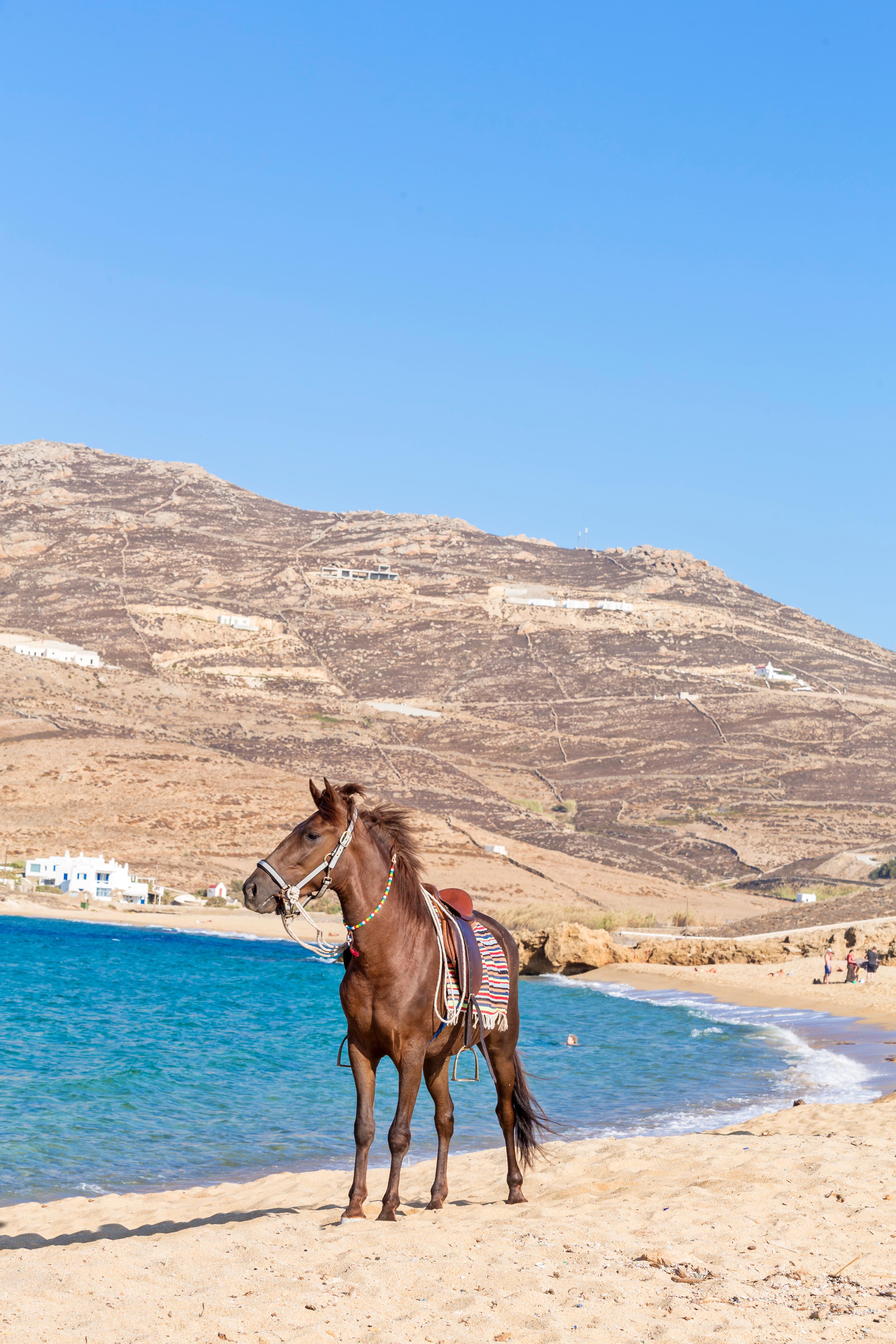 Anamar Mykonos Natural Retreat Ftelia  Extérieur photo