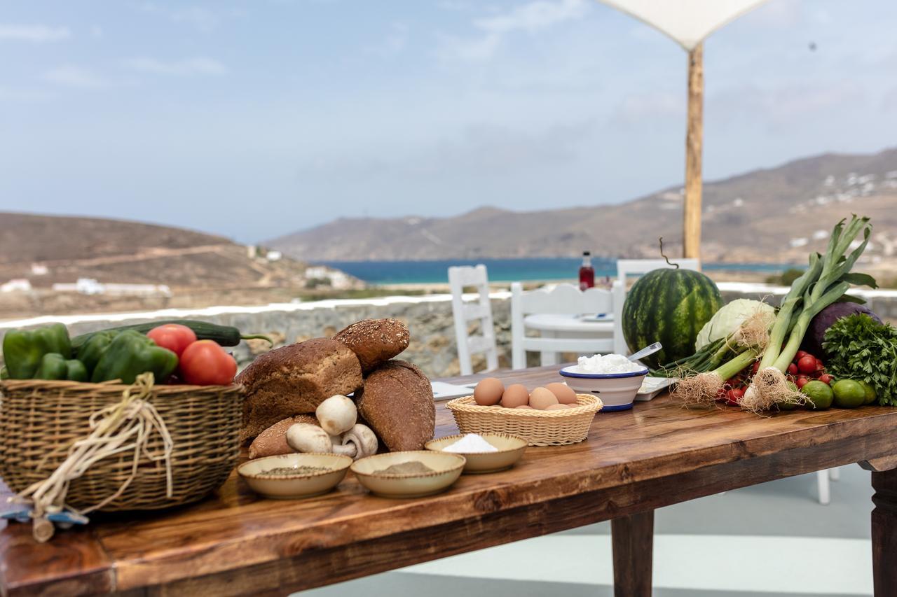 Anamar Mykonos Natural Retreat Ftelia  Extérieur photo