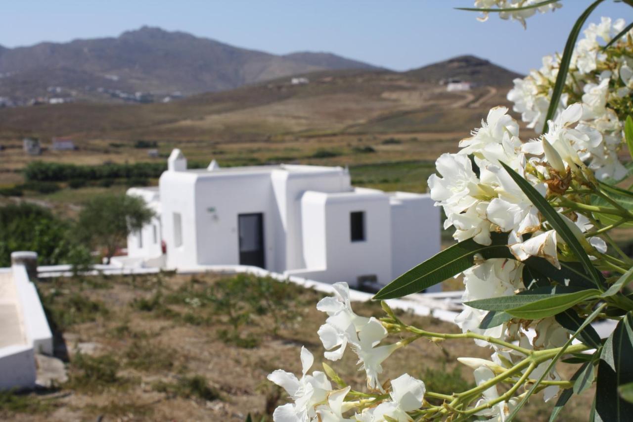 Anamar Mykonos Natural Retreat Ftelia  Extérieur photo