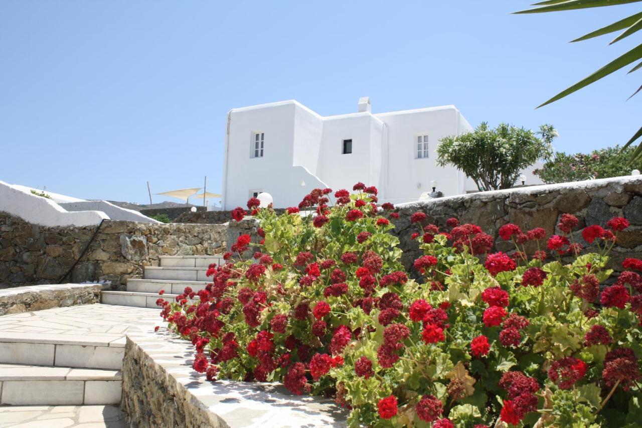 Anamar Mykonos Natural Retreat Ftelia  Extérieur photo